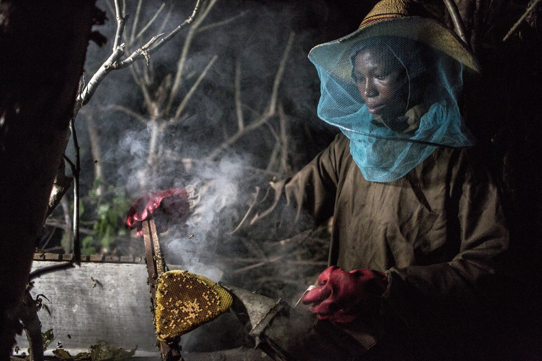 Augustina beekeeping